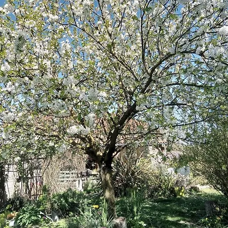 B&B Le Chant Des Oiseaux Tourliac