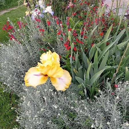 B&B Le Chant Des Oiseaux