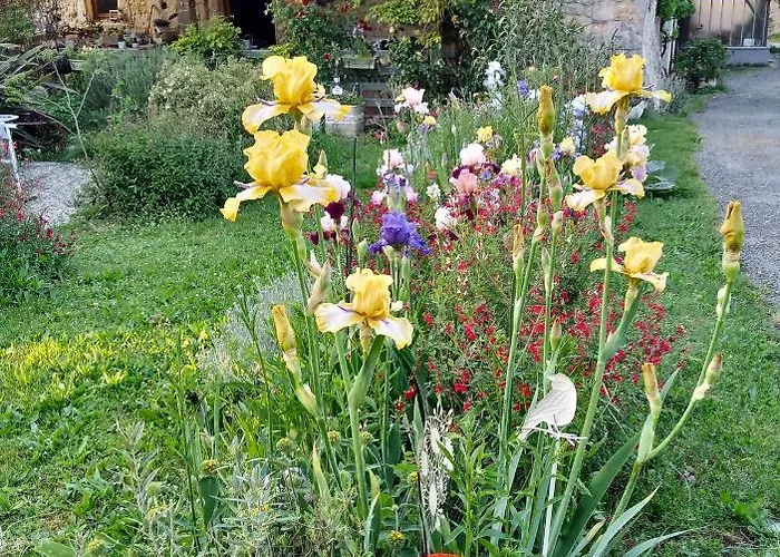 Le Chant Des Oiseaux Bed & Breakfast