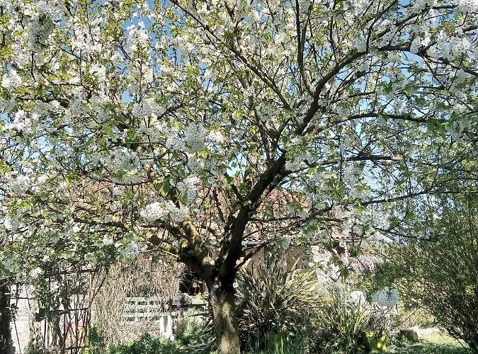Bed & Breakfast Le Chant Des Oiseaux Tourliac