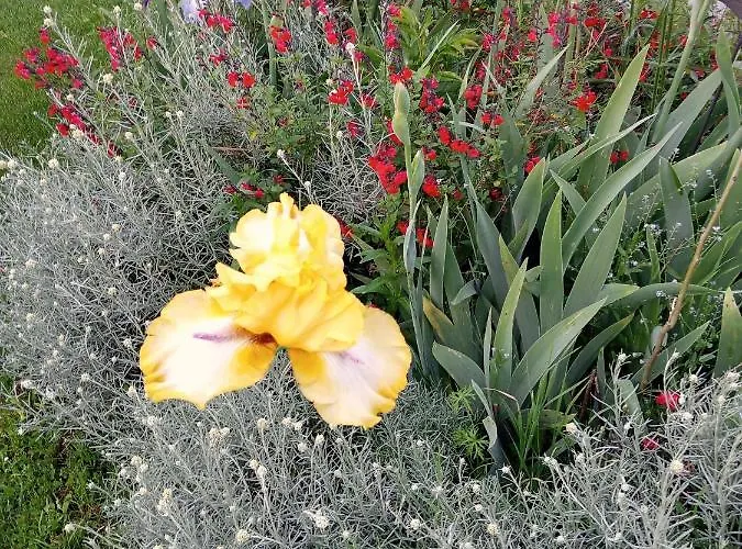 Bed & Breakfast Le Chant Des Oiseaux