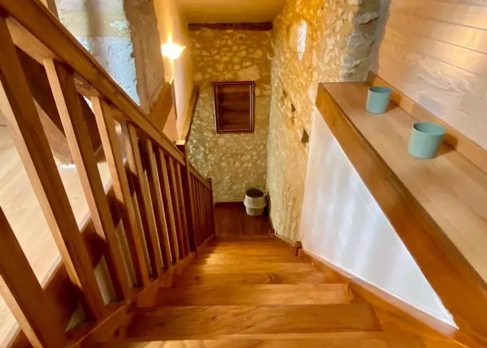 Le Chant Des Oiseaux Tourliac